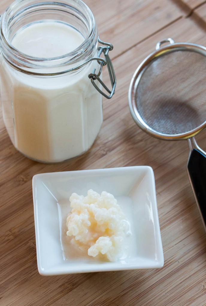 Un nódulo o grano de kéfir en un pequeño bol de porcelana, delante de una jarra de leche.