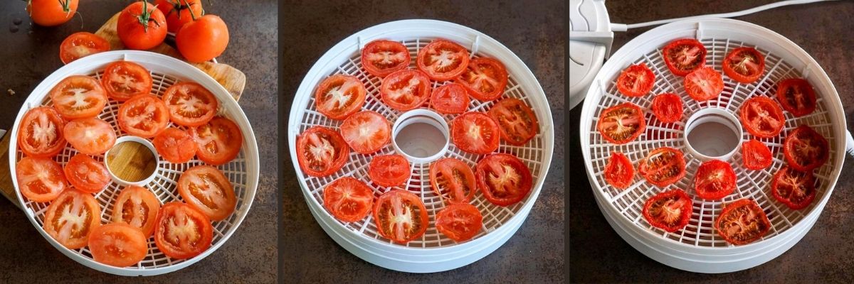 Tres etapas de deshidratación de rodajas de tomate en una bandeja redonda: rodajas frescas, secado parcial y secado completo.