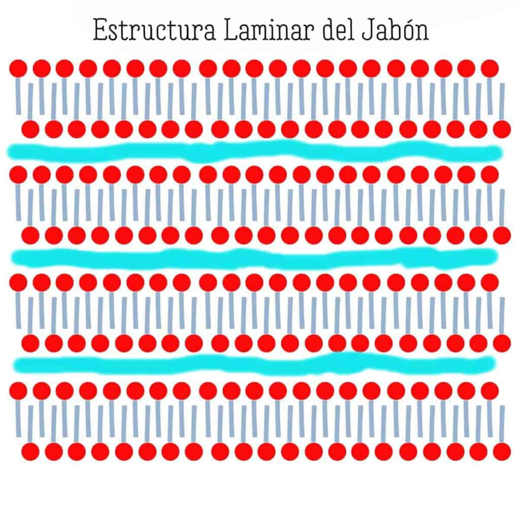 un gráfico mostrando como sería la estructura laminar del jabón cuando están bien alineados los tensioactivos