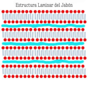 un gráfico mostrando como sería la estructura laminar del jabón cuando están bien alineados los tensioactivos