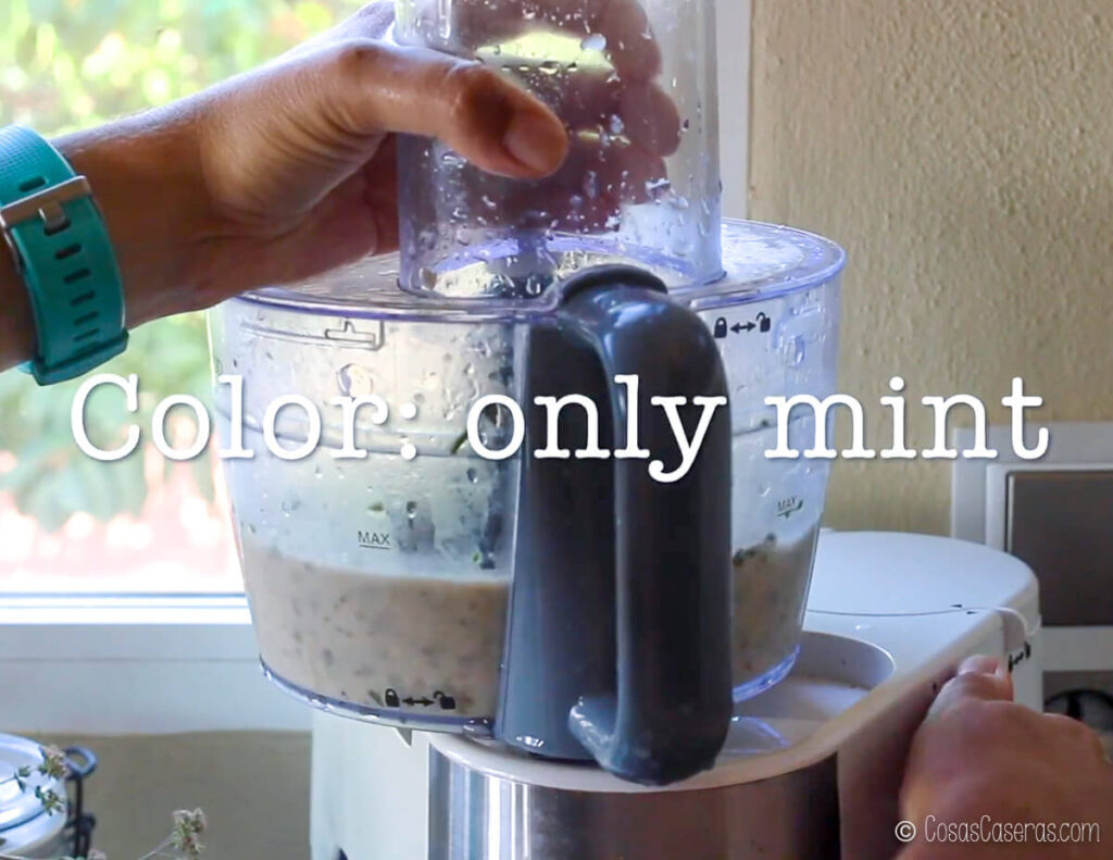 helado en un procesador de comida con sólo menta para color