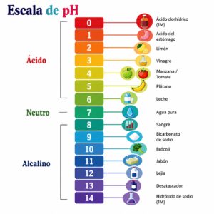 Colorida escala de pH de 0 (ácido) a 14 (alcalino) con ejemplos de sustancias como el limón, el vinagre, la leche, el jabón y el hidróxido de sodio en diferentes niveles de pH.